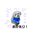 金本まろん（個別スタンプ：3）