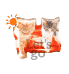 猫のグリグラ2（個別スタンプ：2）