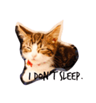 猫のグリグラ2（個別スタンプ：7）