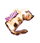 猫のグリグラ2（個別スタンプ：8）