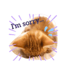 猫のグリグラ2（個別スタンプ：10）