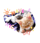 猫のグリグラ2（個別スタンプ：13）