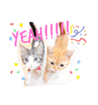 猫のグリグラ2（個別スタンプ：18）
