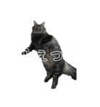 しし丸すたんぷ（個別スタンプ：9）