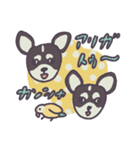 チャックたぬ＆ゆず（個別スタンプ：3）