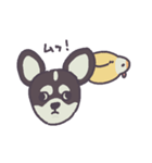 チャックたぬ＆ゆず（個別スタンプ：17）