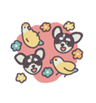 チャックたぬ＆ゆず（個別スタンプ：26）