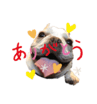 ♡しゃろえ♡（個別スタンプ：13）