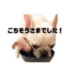 ♡しゃろえ♡（個別スタンプ：23）
