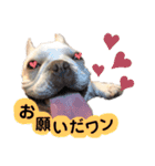 ♡しゃろえ♡（個別スタンプ：38）