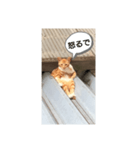 すわるネコ（個別スタンプ：4）