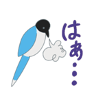 世田谷の青い鳥 オナガ（個別スタンプ：10）