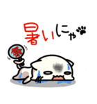 にゃんの日常 2（個別スタンプ：12）