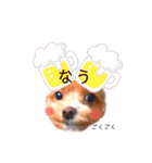 マルプーマルコ3（個別スタンプ：11）
