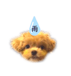 マルプーマルコ3（個別スタンプ：16）
