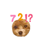 マルプーマルコ3（個別スタンプ：24）