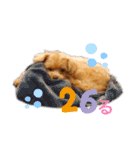 マルプーマルコ3（個別スタンプ：38）