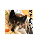 Bell♩（個別スタンプ：3）