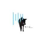 Bell♩（個別スタンプ：4）