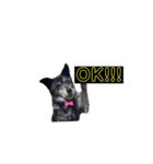 Bell♩（個別スタンプ：7）