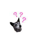 Bell♩（個別スタンプ：8）
