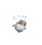 えかぴよ♡（個別スタンプ：1）