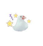 えかぴよ♡（個別スタンプ：4）