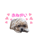 えかぴよ♡（個別スタンプ：5）