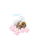 えかぴよ♡（個別スタンプ：8）