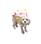えかぴよ♡（個別スタンプ：9）