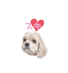 えかぴよ♡（個別スタンプ：13）