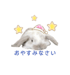 毎日使える！うさぎのチコ＆ジョルノ（個別スタンプ：10）