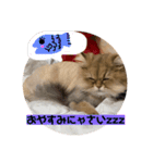 ぐーたら『きなこ』（個別スタンプ：12）