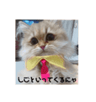 ぐーたら『きなこ』（個別スタンプ：14）