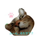 麦茶ん。スタンプ（個別スタンプ：7）
