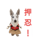 たろうのぼんぼん生活（個別スタンプ：4）