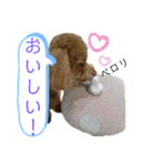 天津マロンの愉快なスタンプ！（個別スタンプ：14）