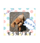天津マロンの愉快なスタンプ！（個別スタンプ：16）