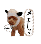 天津マロンの愉快なスタンプ！（個別スタンプ：18）