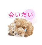 天津マロンの愉快なスタンプ！（個別スタンプ：24）