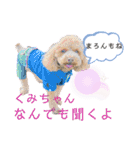 天津マロンの愉快なスタンプ！（個別スタンプ：26）
