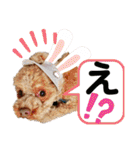 天津マロンの愉快なスタンプ！（個別スタンプ：31）