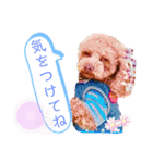 天津マロンの愉快なスタンプ！（個別スタンプ：36）