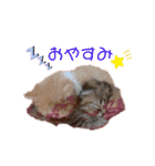 ドンノブボム⑥（個別スタンプ：7）
