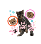 ドンノブボム⑥（個別スタンプ：8）