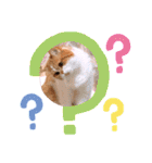 ドンノブボム⑥（個別スタンプ：11）