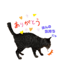 ドンノブボム⑥（個別スタンプ：13）