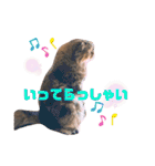 ドンノブボム⑥（個別スタンプ：17）