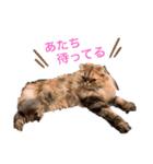 ドンノブボム⑥（個別スタンプ：23）