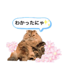 ドンノブボム⑥（個別スタンプ：26）